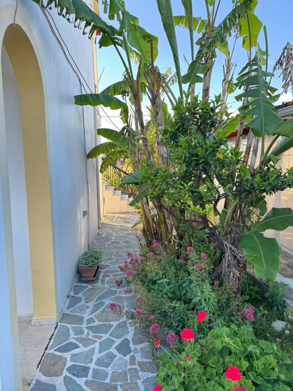 Gian Petro Apartments Sidari  Exterior photo